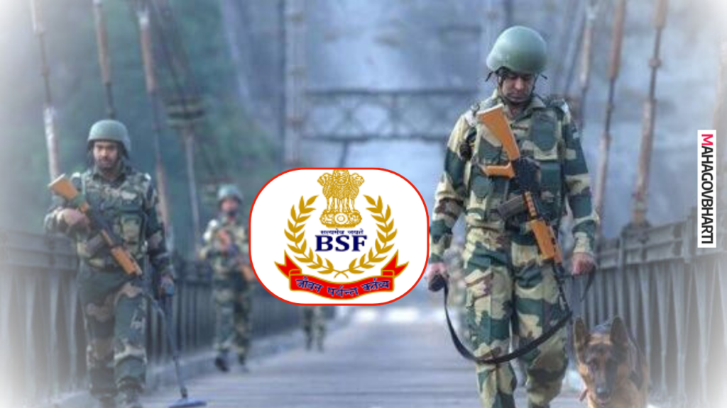 BSF Recruitment 2024 : सीमा सुरक्षा दलात विविध पदांची मेगा भरती; आजच करा अर्ज BSF Recruitment 2024